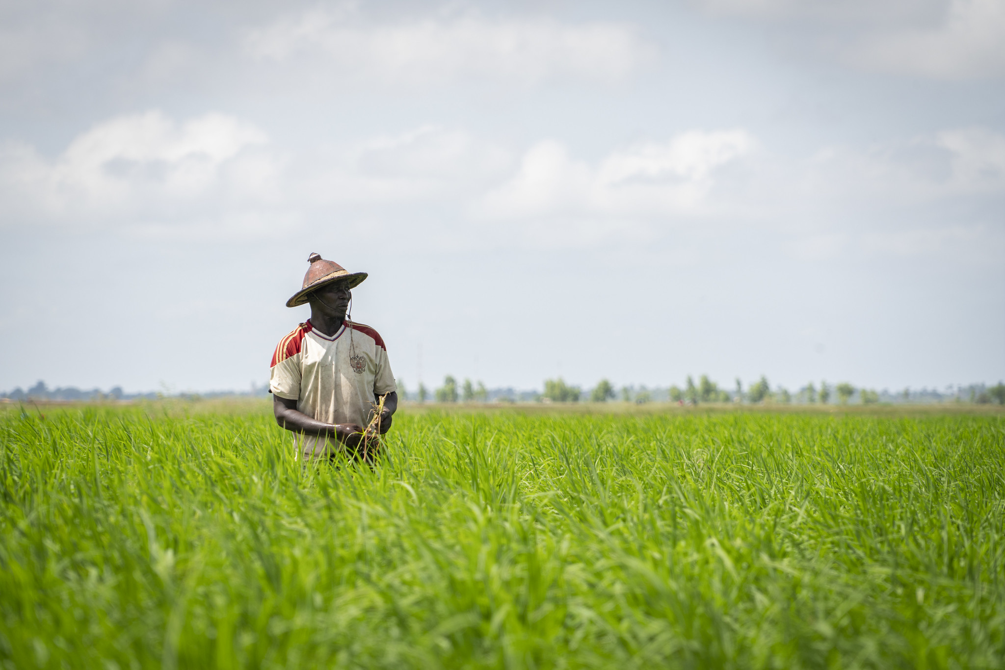 Sénégal : un prêt de plus de 63 millions d’euros pour la mise en place d’une agropole dans quatre régions du Centre du pays