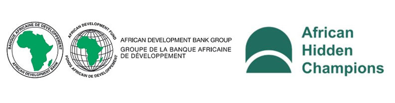 African Development Bank Group (AfDB)