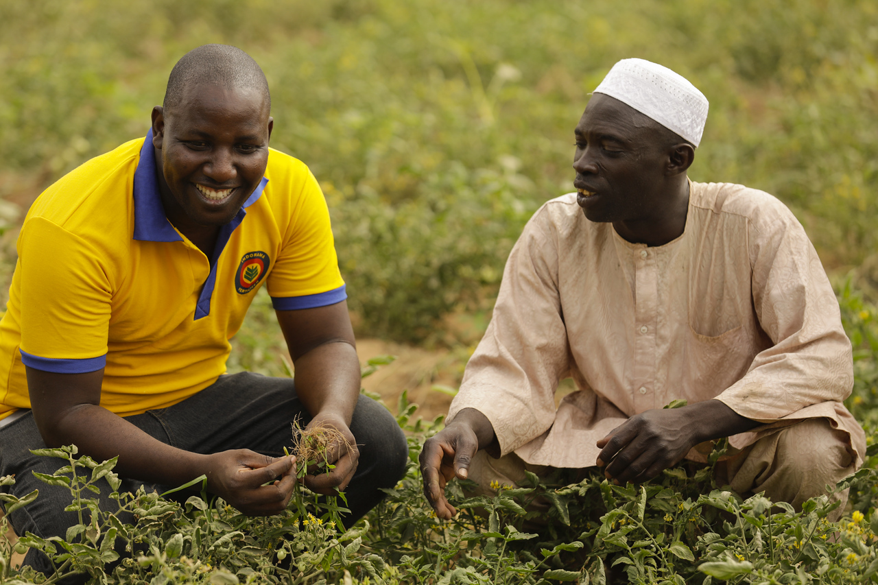 Nigéria : la Banque africaine de développement accorde une facilité de financement du commerce de 25 millions de dollars à la banque FSDH Merchant Bank pour financer les petites et moyennes entreprises