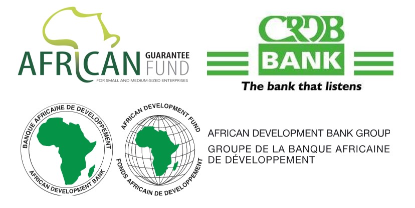 African Development Bank Group (AfDB)
