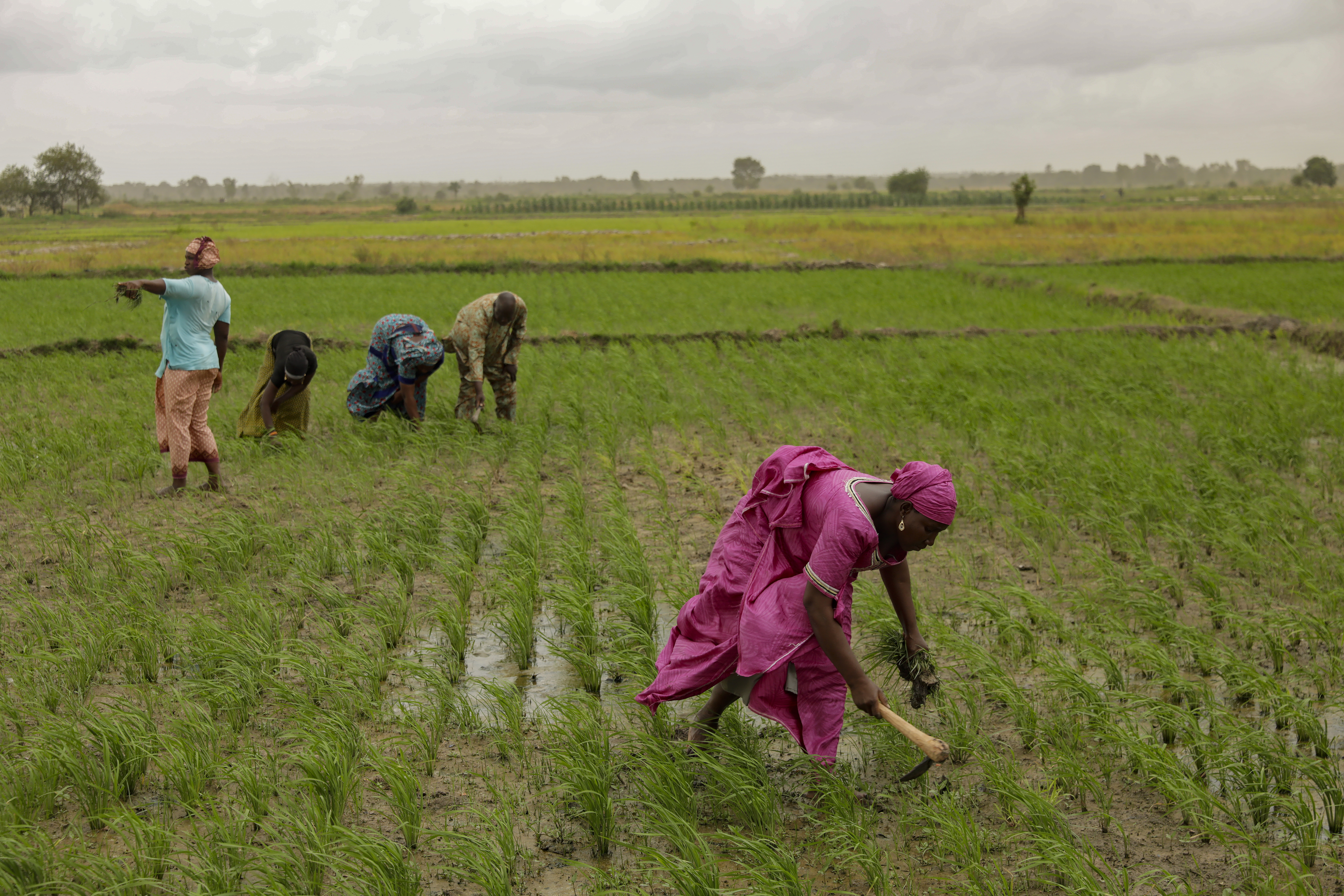 Le Fonds africain de développement apporte plus de 10 millions de dollars pour aider quatre pays d’Afrique de l’Est et de la Corne de l’Afrique à faire face à la crise alimentaire