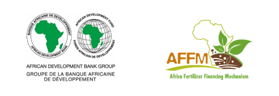 African Development Bank Group (AfDB)