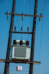 Picture1.jpg