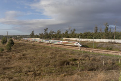 train.jpg