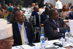 afdb 16.jpg