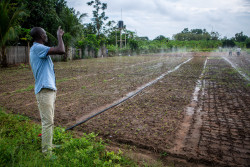 Légende 1 financement climatique cop30.jpg