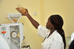 Transformation agricole Togo.jpg