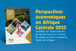 Central Africa Economic Outlook 2023_VF 600x400[10].jpg