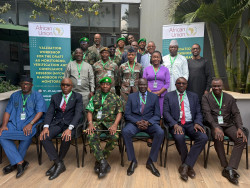 AUC MCVM_Image.jpg