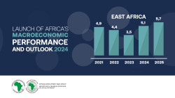 MEO 2024 - growth infographics by African region-04.jpg