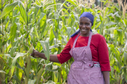 TAAT Kenya Lucy Njeri Beneficiary[37] Kenya pix.jpg