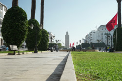 Photo d'illustration.jpg