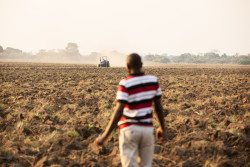 Agroindustrielle Zambie.jpg