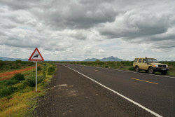 Projet routier.jpg