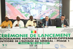 Lancement PNDIES (1).jpg