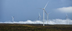 photo- Windfarm_LWF constuction (37)66.jpg