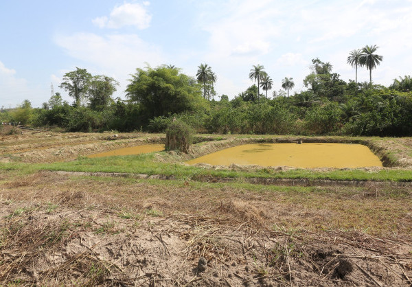 Côte d’Ivoire : la Banque africaine de développement relance l’important projet aquacole de Dompleu, dans l’ouest du pays