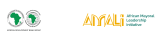 African Development Bank Group (AfDB)