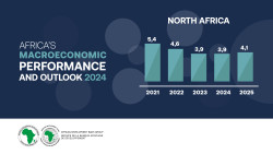 MEO 2024 - growth infographics by African region-01.jpg