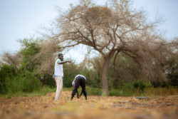 Valorisation entrepreneuriale Sénégal.jpg