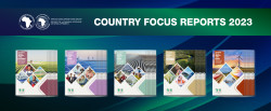 Country Focused Reports sans 54_1500x617.jpg