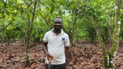 6- Bardo Etienne a cocoa farmer in his plantation.jpg