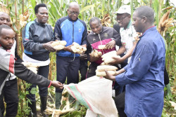 21. AEFPF.  Campagne de rcolte de mais à Kirundi - Déc 2023 4.jpg