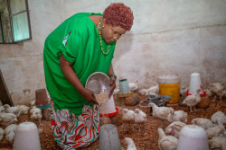 Image Marie nourrissant les poules.JPG