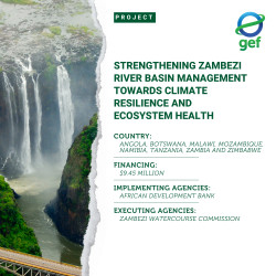 GEF_Zambezi banner.jpg