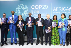 COP29 clean cooking side event photo.jpeg