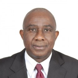 Banji Oyelaran-Oyeyinka, Directeur de cabinet et Conseiller spécial du Président en industrialisatio