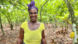 10- Papo Delphine a cocoa farmer in her plantation in Watte village San Pedro Cote d'Ivoire.jpg