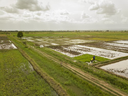 PAU TCHAD.jpg