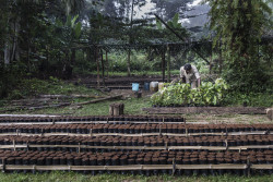 Agriculture Mozambique.jpg