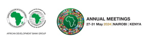 2024 Annual Meetings: Africa’s Voice Needs to be Heard, Says African Development Bank President