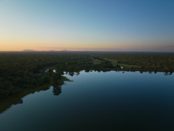 Biodiversité Madagascar.jpg