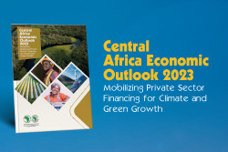 Central Africa Economic Outlook 2023_VA 600x400[33].jpg