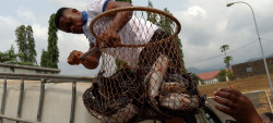 Cameroun 3.jpg